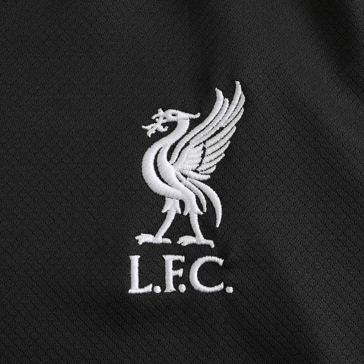 Liverpool 2024/25 Away Shirt