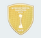 Patch Intercontinental Champion (Chest)