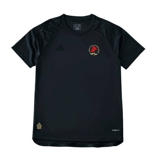 Camisa Aston Villa 150 Anos 2024/25 - imagem 2