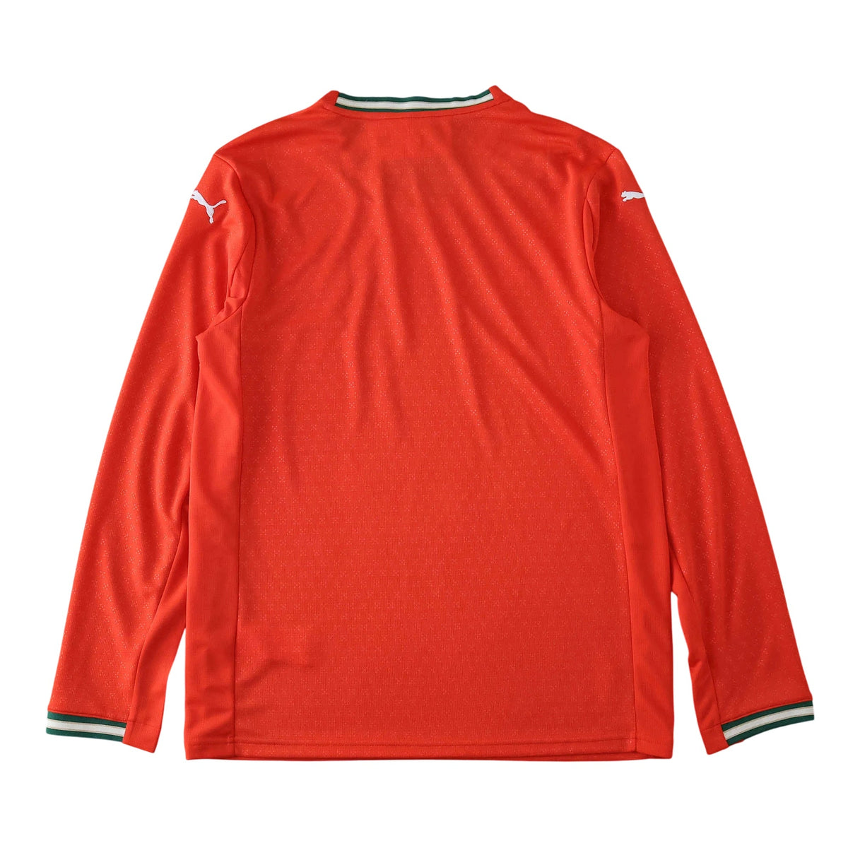 Camisa Portugal I 2025 Manga Longa - imagem 4
